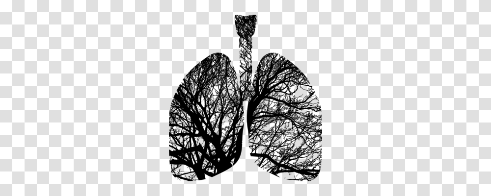 The Respiratory System Human Body Respiration Anatomy Free, Gray, World Of Warcraft Transparent Png