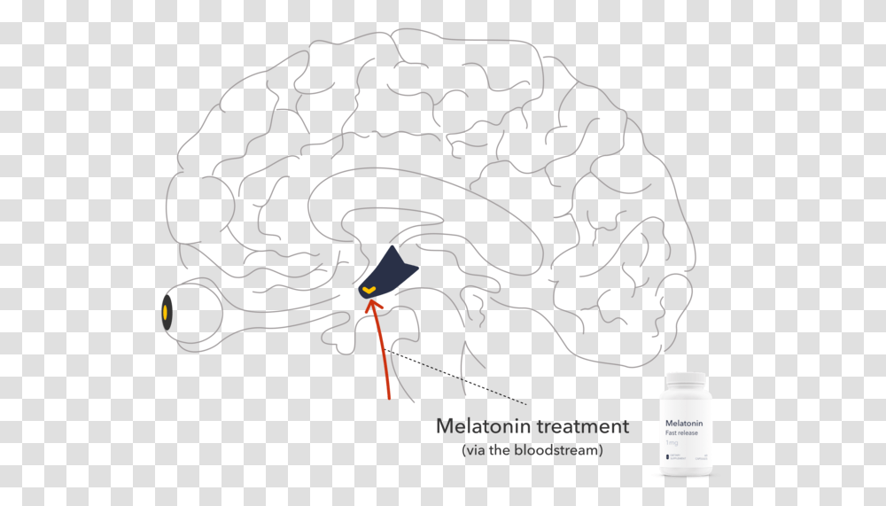 The Right Type And Dose Of Melatonin At The Right Illustration, Maze, Labyrinth, Outdoors, Nature Transparent Png