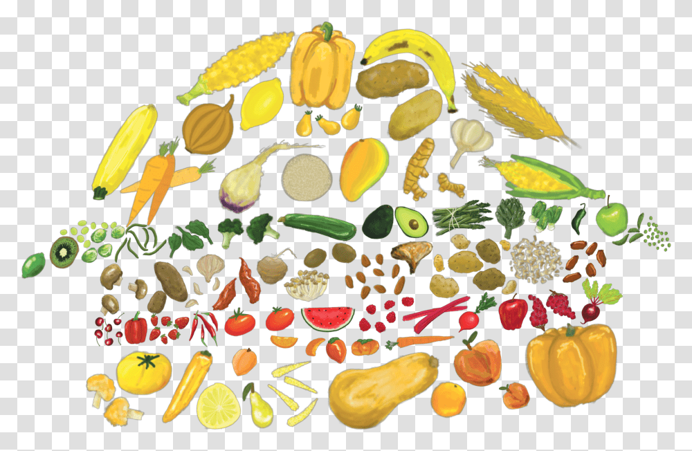 The Rise Of Plant Based Eating The Bottom Line Plant Based Food Illustrations Transparent Png