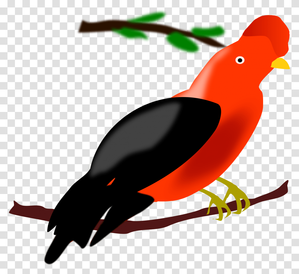 The Rock Clipart Group, Animal, Bird, Blackbird, Agelaius Transparent Png