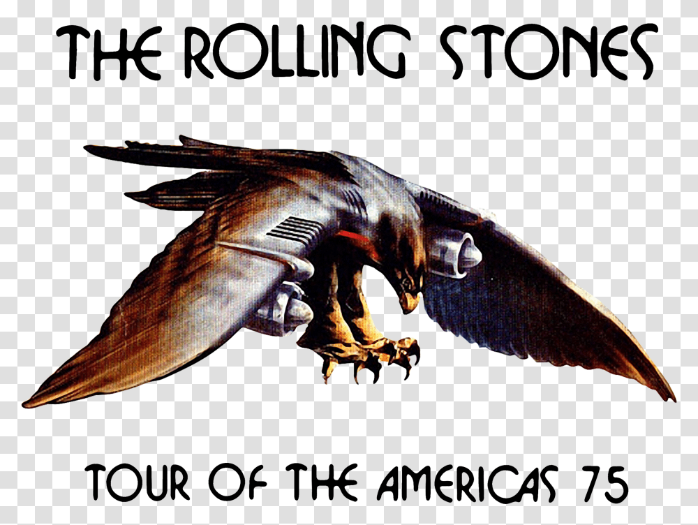 The Rolling Stone Tour Of The Americas 75 Shirt Sweater Toured With Rolling Stones In Detroit, Dragon, Person, Human Transparent Png