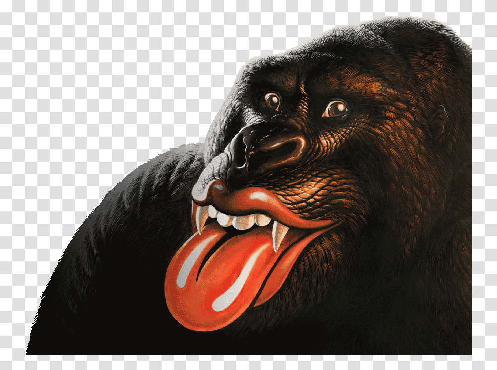 The Rolling Stones Rolling Stones Albums Cd, Animal, Mammal, Dinosaur, Reptile Transparent Png