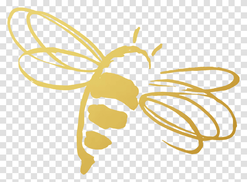 The Royal Revitalize Challenge Jafra Royal Jelly Bee, Wasp, Insect, Invertebrate, Animal Transparent Png