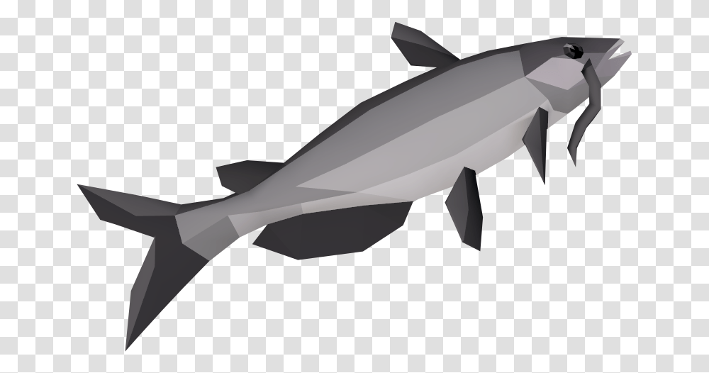 The Runescape Wiki, Animal, Sea Life, Mammal, Bird Transparent Png