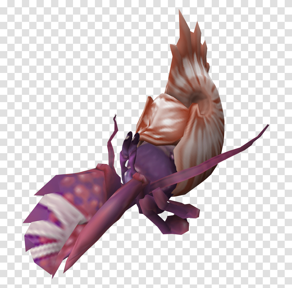 The Runescape Wiki Hermit Crab In Nautilus Shell, Animal, Invertebrate, Insect, Sweets Transparent Png