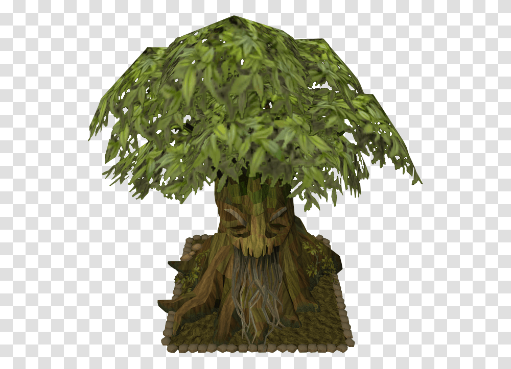 The Runescape Wiki Portable Network Graphics, Plant, Tree, Vegetation, Root Transparent Png