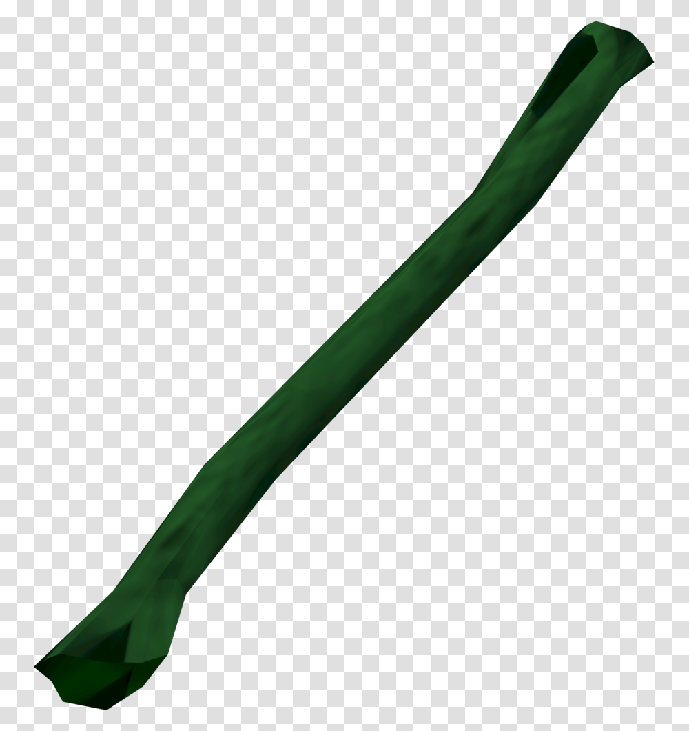 The Runescape Wiki Ribbon, Plant, Flower, Blossom, Produce Transparent Png