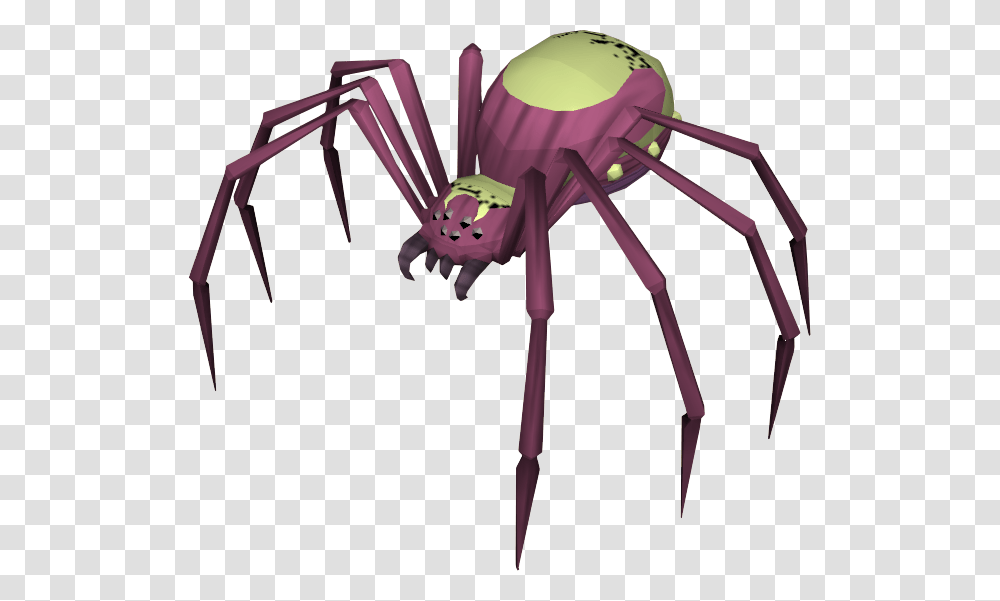 The Runescape Wiki Runescape Spider Queen, Bow, Invertebrate, Animal, Insect Transparent Png