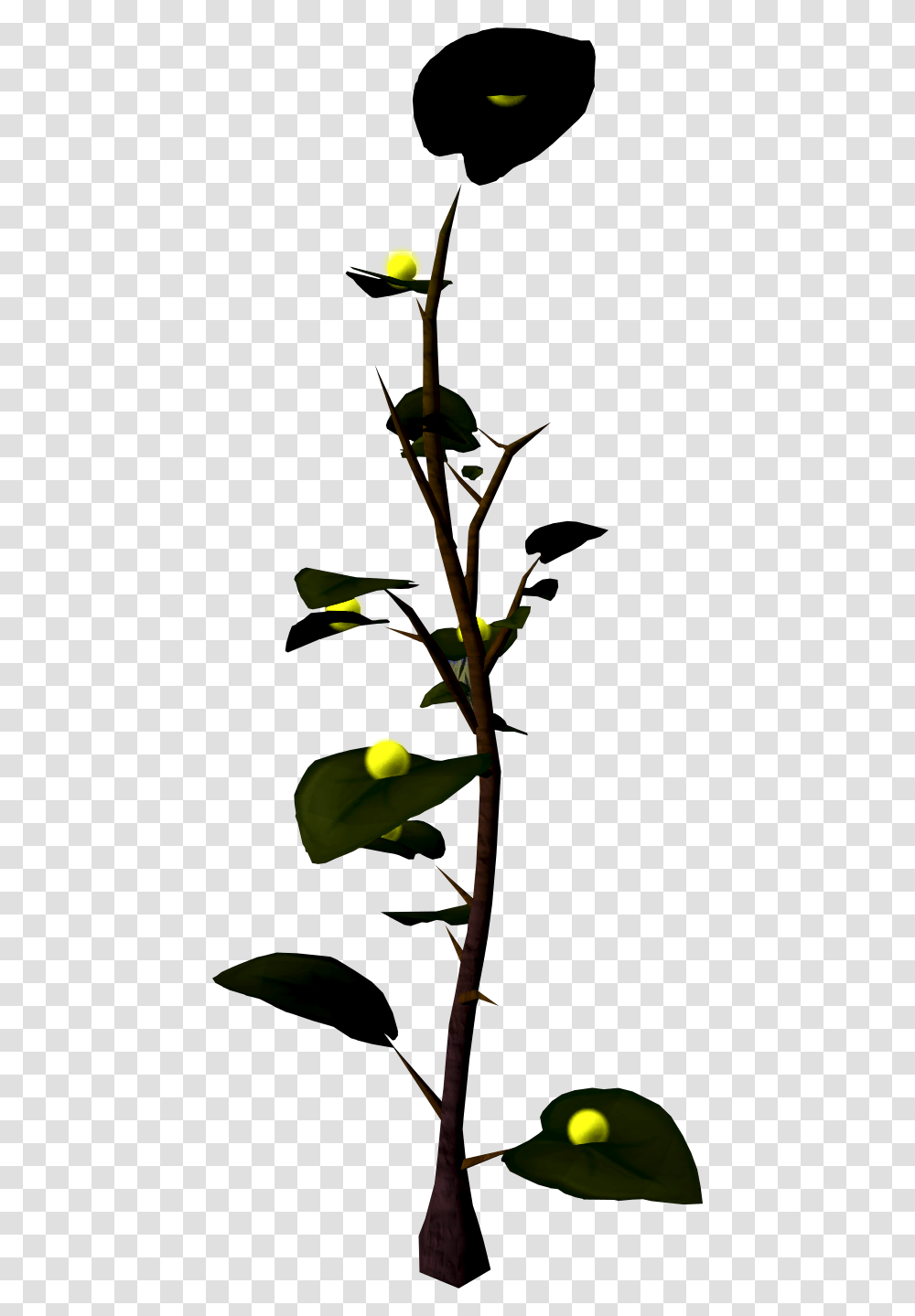 The Runescape Wiki Twig, Animal, Flower, Plant, Blossom Transparent Png