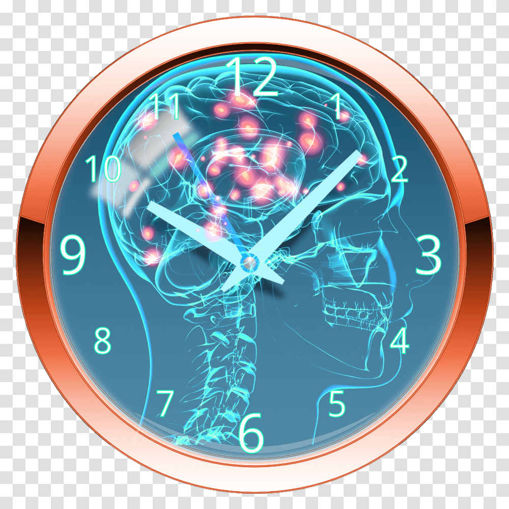 The Science Of Circadian Rhythm Led Lighting Nervous System, Analog Clock, Wristwatch, Disk, Wall Clock Transparent Png
