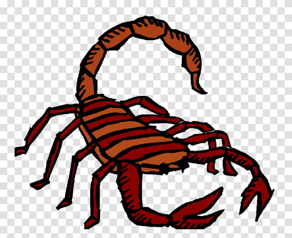 The Scorpion Clip Art, Furniture, Chair, Animal, Harness Transparent Png