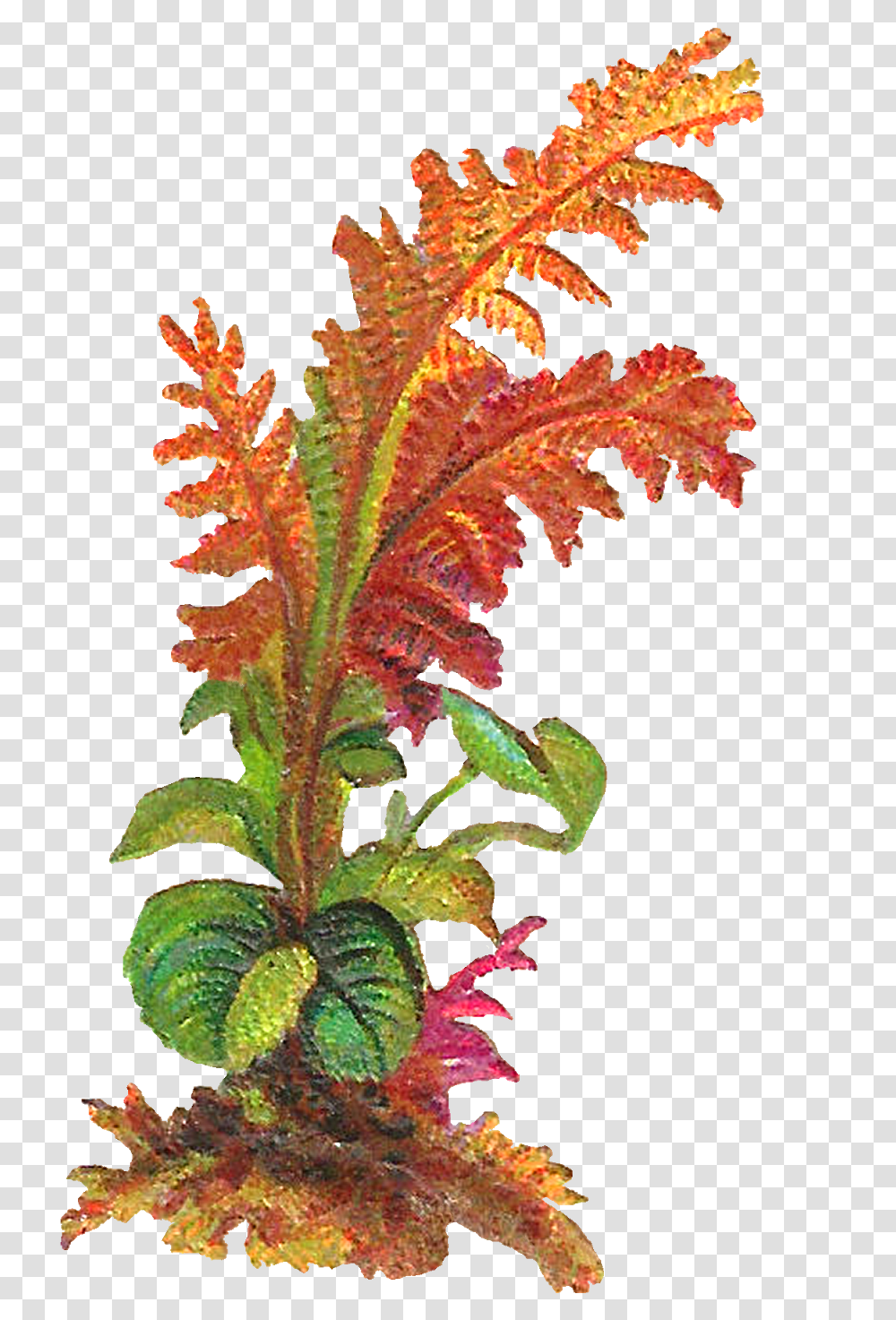 The Second Digital Leaves Download Is Also Designed Obras De Arte Con Hojas De Plantas, Grass, Amaranthaceae, Lawn, Leaf Transparent Png