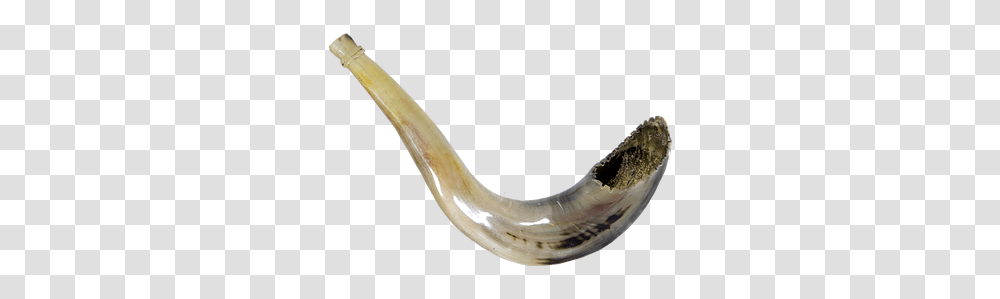 The Shofar From A Jewish Perspective Horn, Eel, Fish, Animal, Brass Section Transparent Png