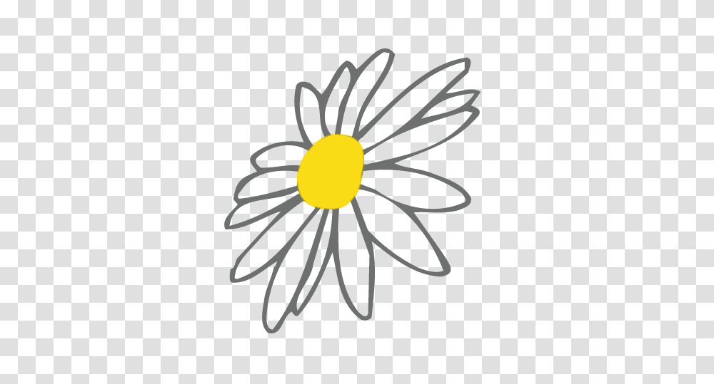 The Shop Daisy Digins, Insect, Invertebrate, Animal, Flower Transparent Png