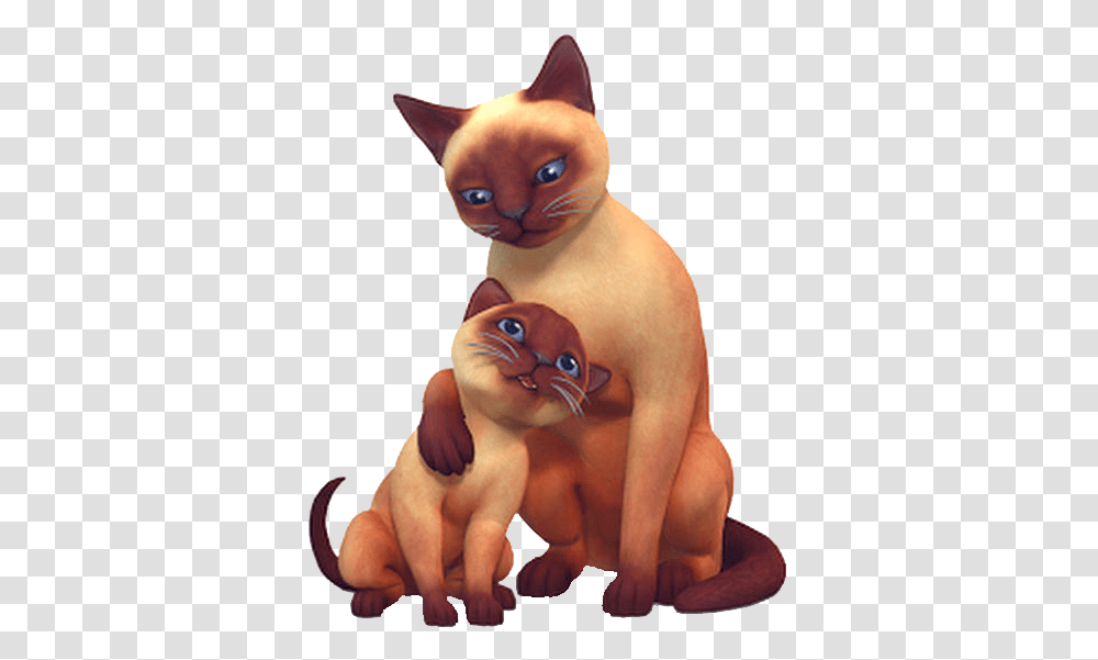 The Sims Wiki Cute Sims 4 Cats And Dogs, Pet, Mammal, Animal, Siamese Transparent Png