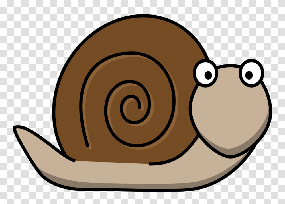 The Snail Gastropods Slug Computer Icons, Invertebrate, Animal Transparent Png