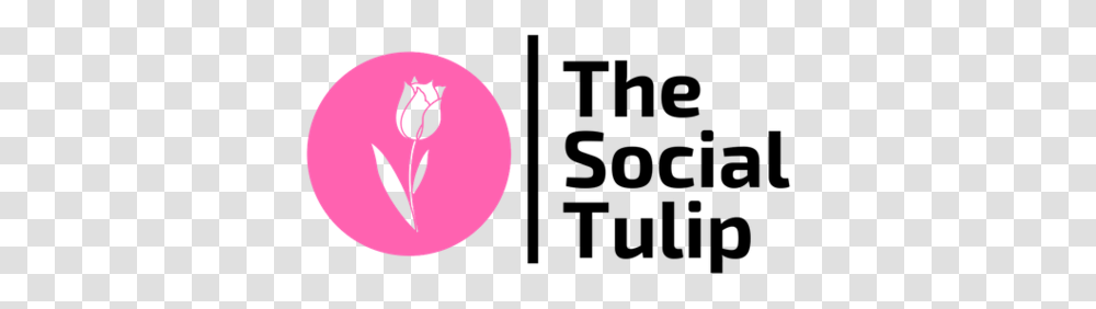 The Social Tulip, Ball, Sport, Sports, Bowling Transparent Png
