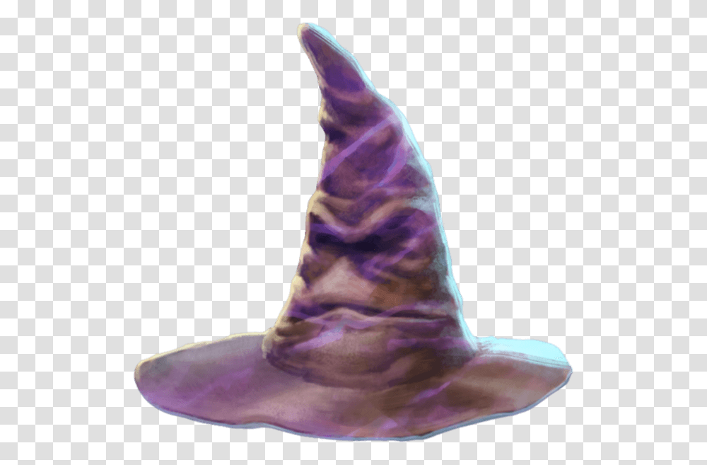 The Sorting Hat Sea Snail, Person, Human, Plant, Cone Transparent Png
