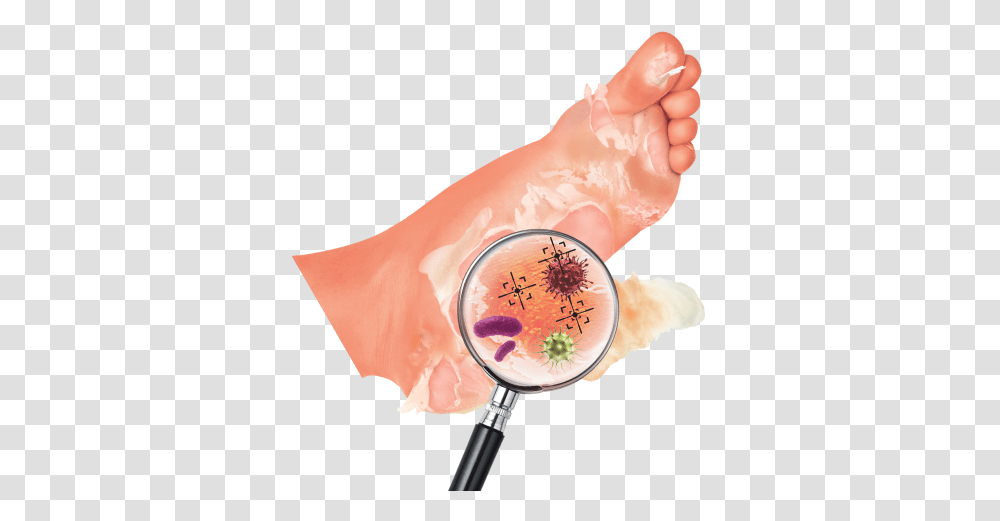 The Source Of Odour Toe, Person, Human, Magnifying Transparent Png