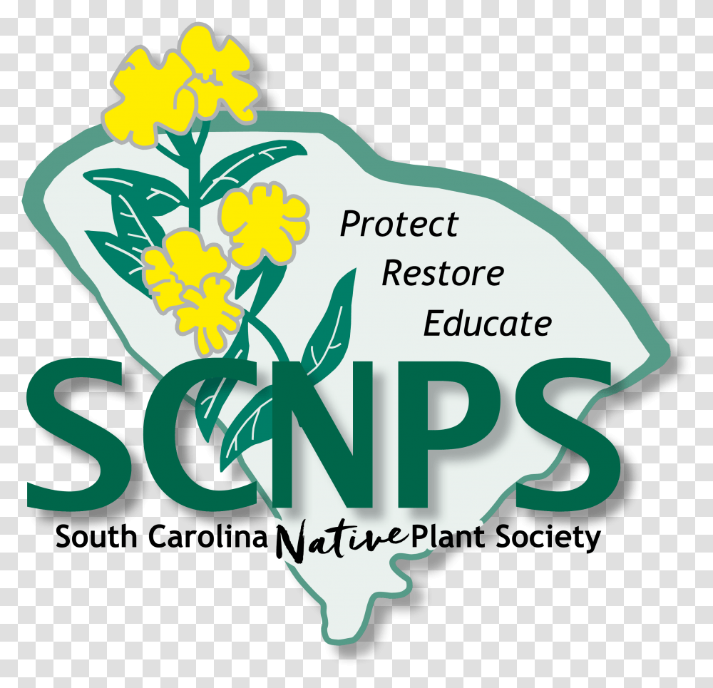 The South Carolina Native Plant Society South Carolina Native Plant Society, Flower, Blossom Transparent Png