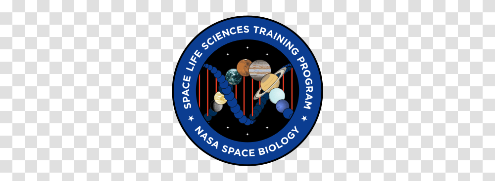 The Space Life Sciences Training Program Ha L Prison, Text, Astronomy, Outer Space, Alphabet Transparent Png