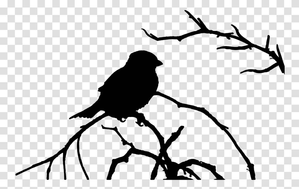 The Sparrow Bird The Silhouette Graphics Vector Bird In Tree, Gray, World Of Warcraft Transparent Png