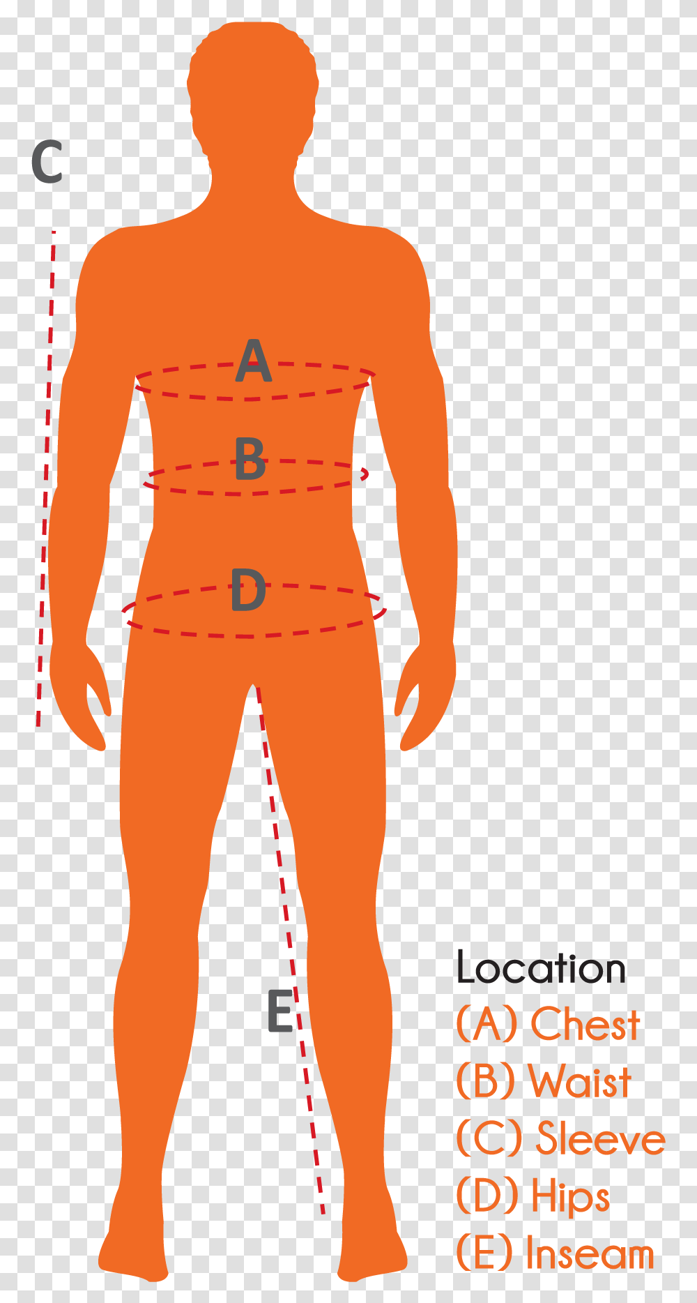 The Splav Company Wares Standing, Person, Human, Plot, Clothing Transparent Png