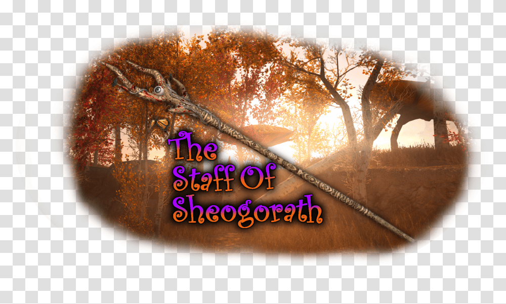 The Staff Of Sheogorath Tree, Flare, Light, Sunlight, Sky Transparent Png