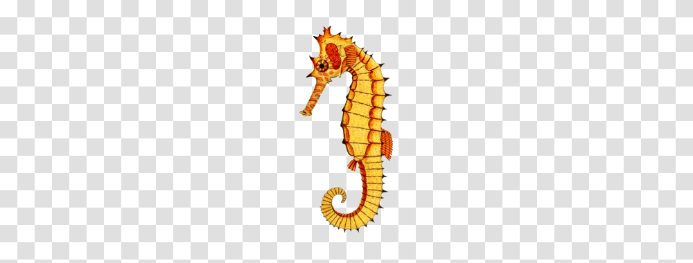 The Sum Of All Crafts Image Collection Animals, Sea Life, Mammal, Seahorse Transparent Png