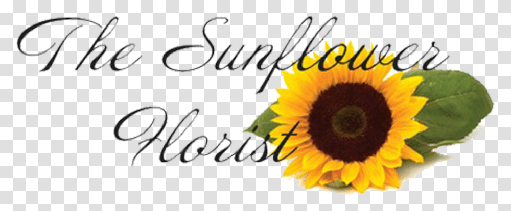 The Sunflower Florist Sunflower, Plant, Blossom, Handwriting Transparent Png