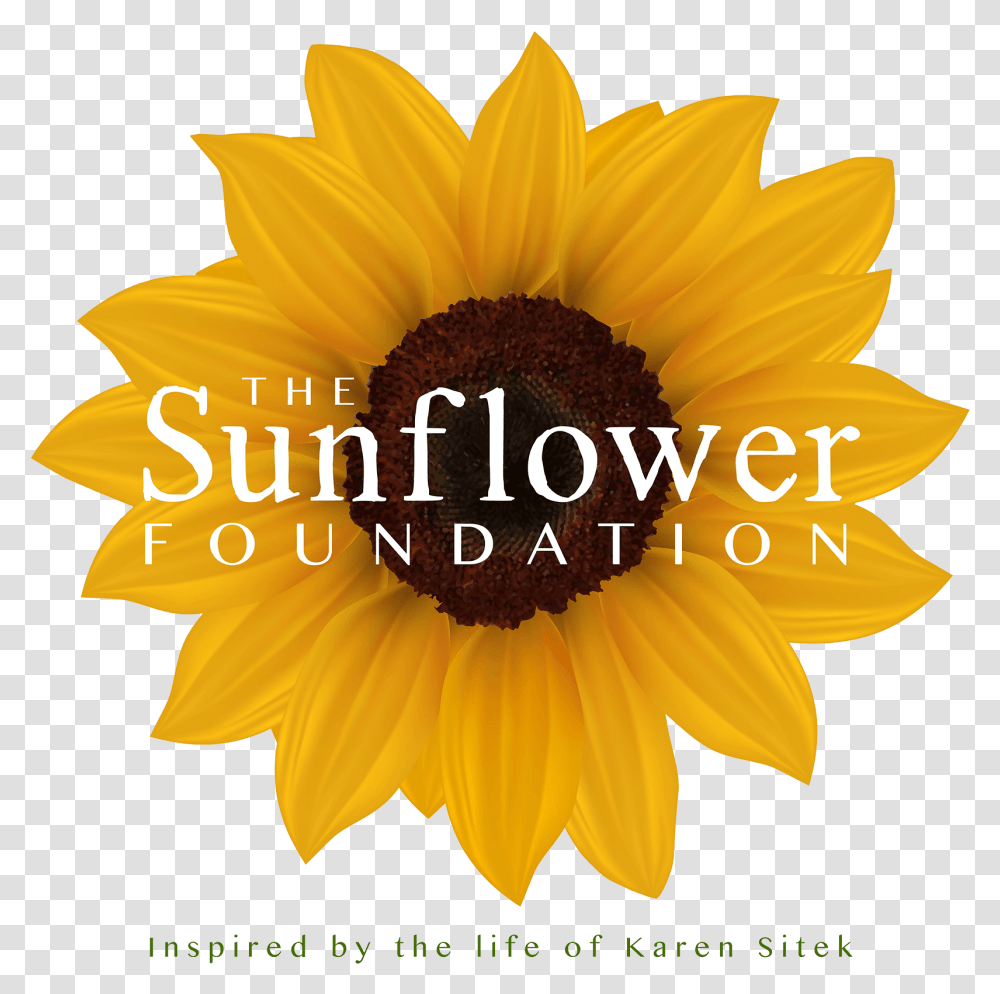 The Sunflower Foundation Ce Ce Peniston Finally Single, Plant, Blossom Transparent Png