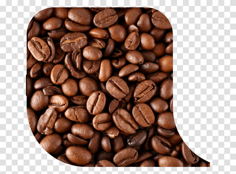 The Surface Of The Coffee Bean Is Dry Without Oil, Plant, Vegetable, Food, Coffee Cup Transparent Png