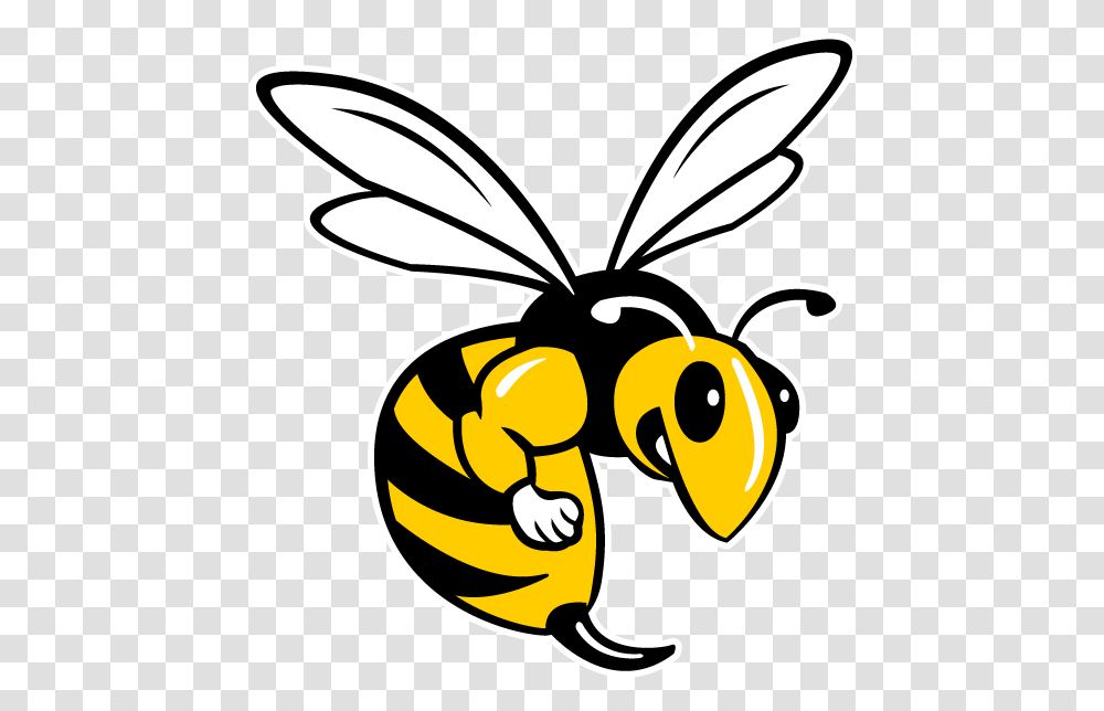 The Swarm Pre Games Oral B Meme Best Oral, Wasp, Bee, Insect, Invertebrate Transparent Png