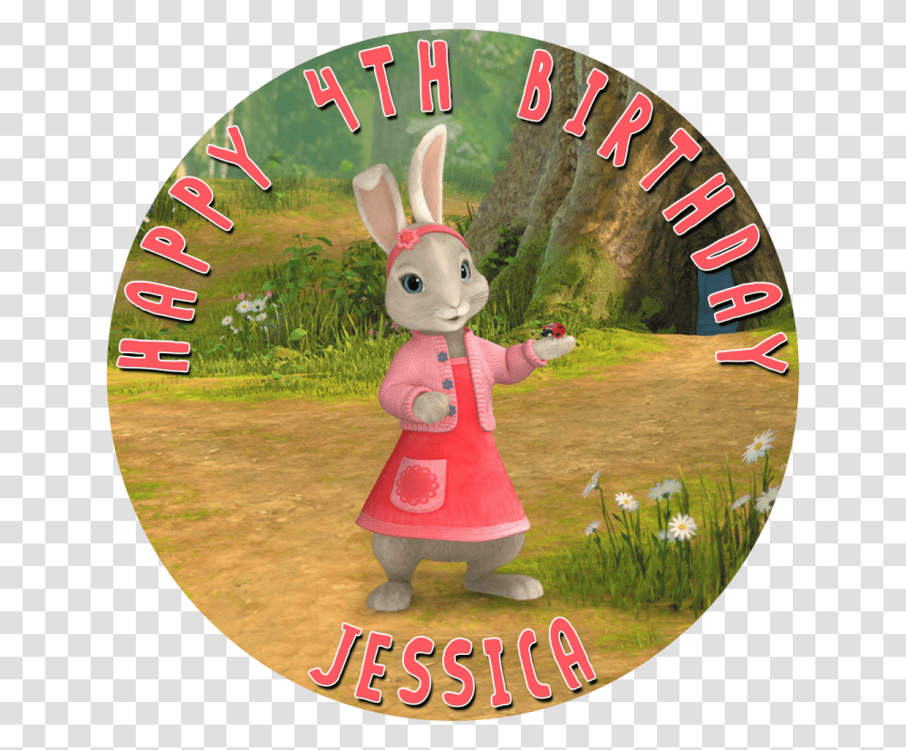The Tale Of Peter Rabbit Download Cartoon, Disk, Dvd, Person Transparent Png