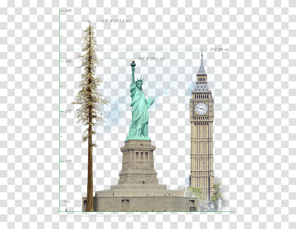 The Tallest Tree In World Hyperion 1156 Meters379u2032 4 Statue Of Liberty, Clock Tower, Architecture, Building, Monument Transparent Png