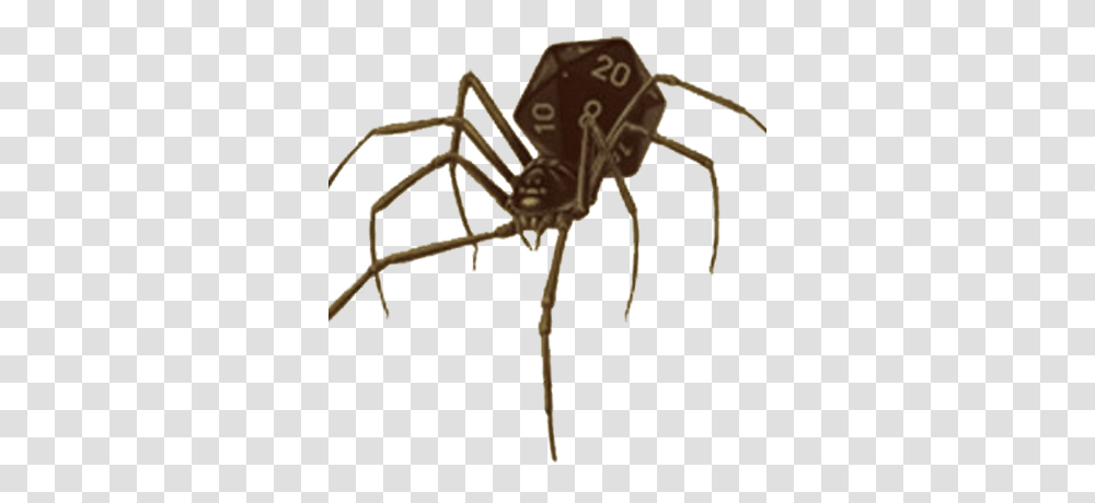 The Tangled Web On Twitter Pbp The Nine Undeaths, Invertebrate, Animal, Spider, Arachnid Transparent Png