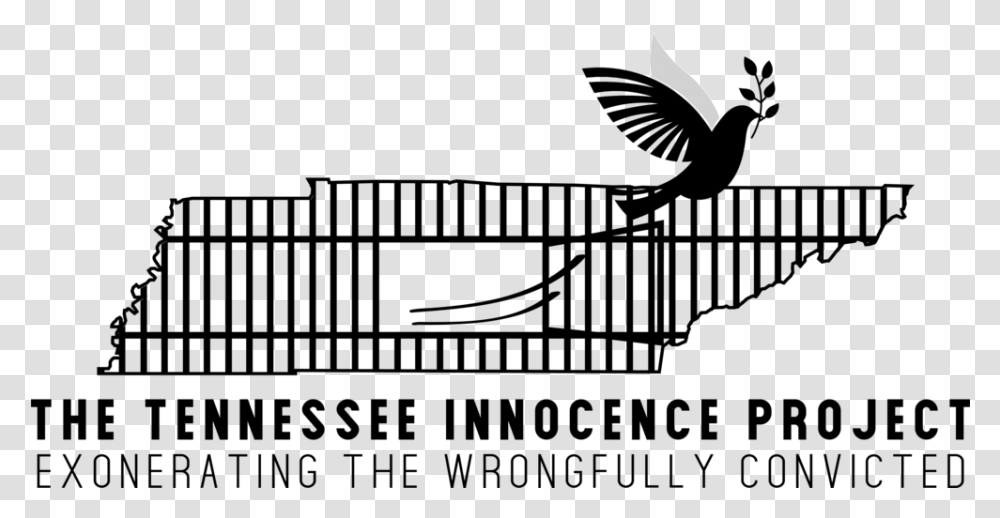 The Tennessee Innocence Project Located In Nashville Silhouette, Outdoors, Nature, Face, Photography Transparent Png