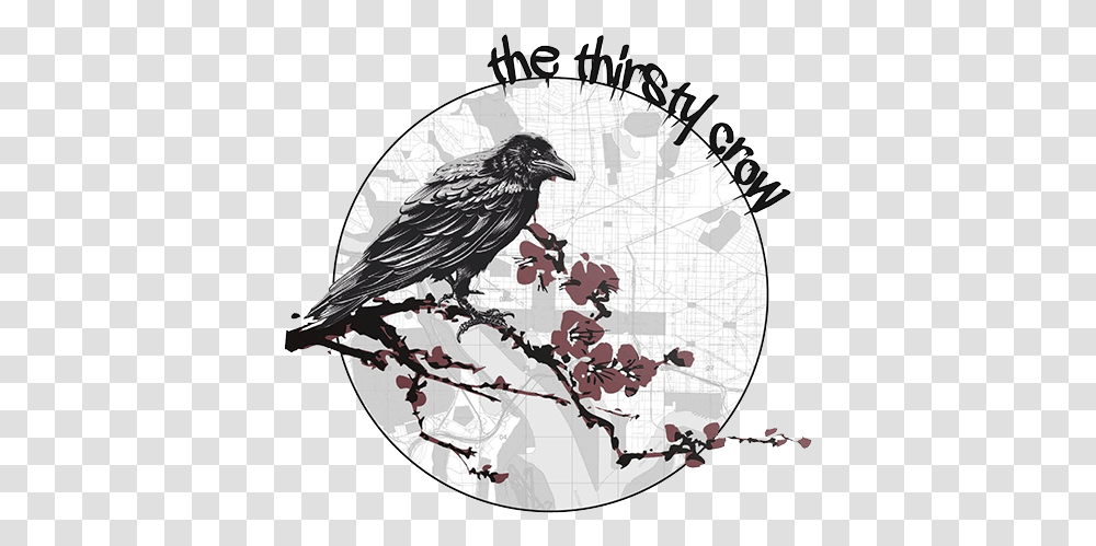 The Thirsty Crow Thristy Crow Dc, Bird, Animal, Blackbird, Agelaius Transparent Png