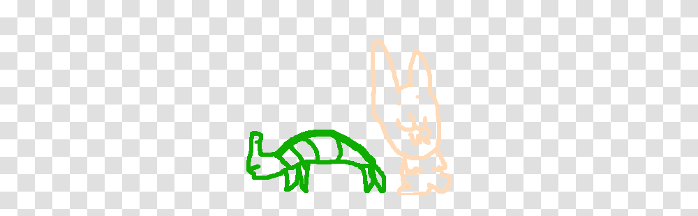 The Tortoise And The Hare, Animal, Stencil, Gecko, Lizard Transparent Png
