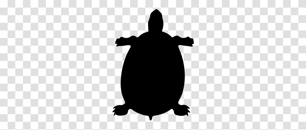 The Tortoise And The Hare Transform Fitness Nyc Transform, Nature, Outdoors, Astronomy, Outer Space Transparent Png