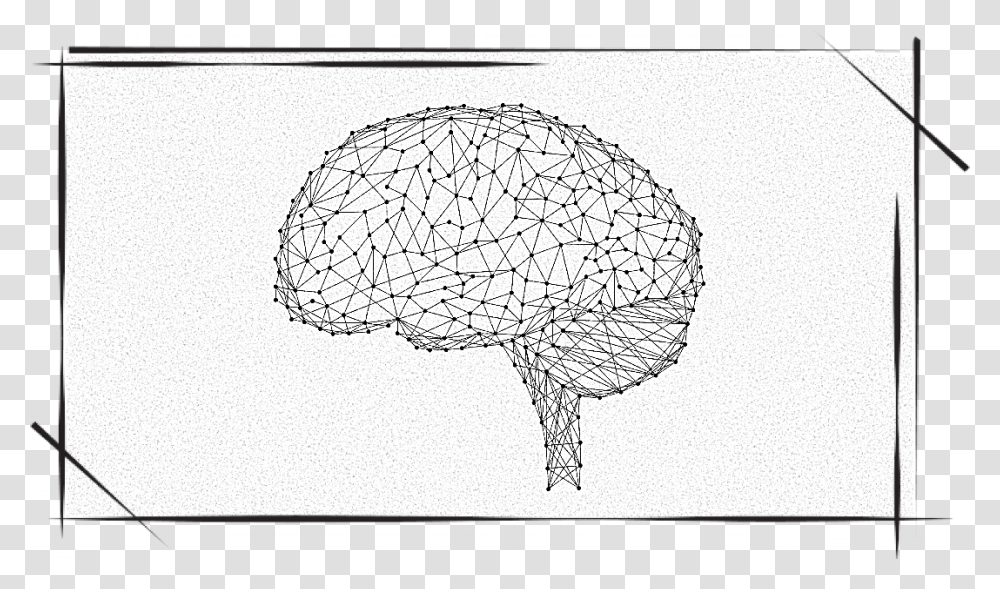 The Transplanted Brain Sketch, Turtle, Animal, Plot Transparent Png