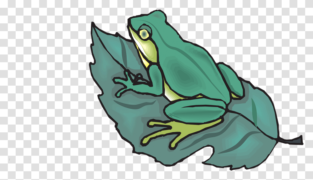 The Tree Frog Amphibian Frog On A Leaf, Wildlife, Animal Transparent Png