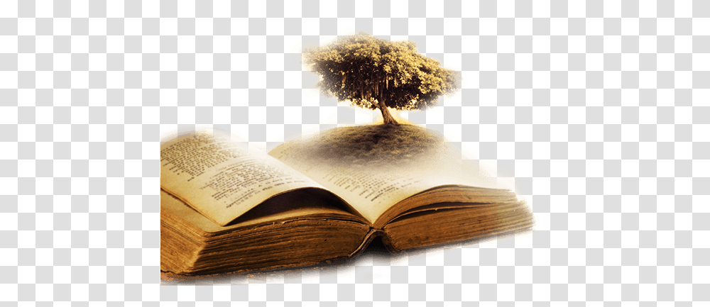 The Tree Of Life And Christ • World Mission Society Church World, Book, Novel Transparent Png
