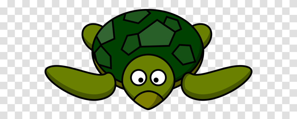 The Turtle Green Sea Turtle Tortoise, Recycling Symbol, Soccer Ball, Football, Team Sport Transparent Png