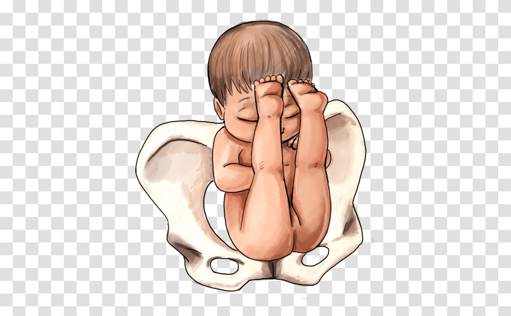 The Ultimate Guide To Baby Position In The Womb Natural Breech Position Baby Girl, Person, Human, Book Transparent Png
