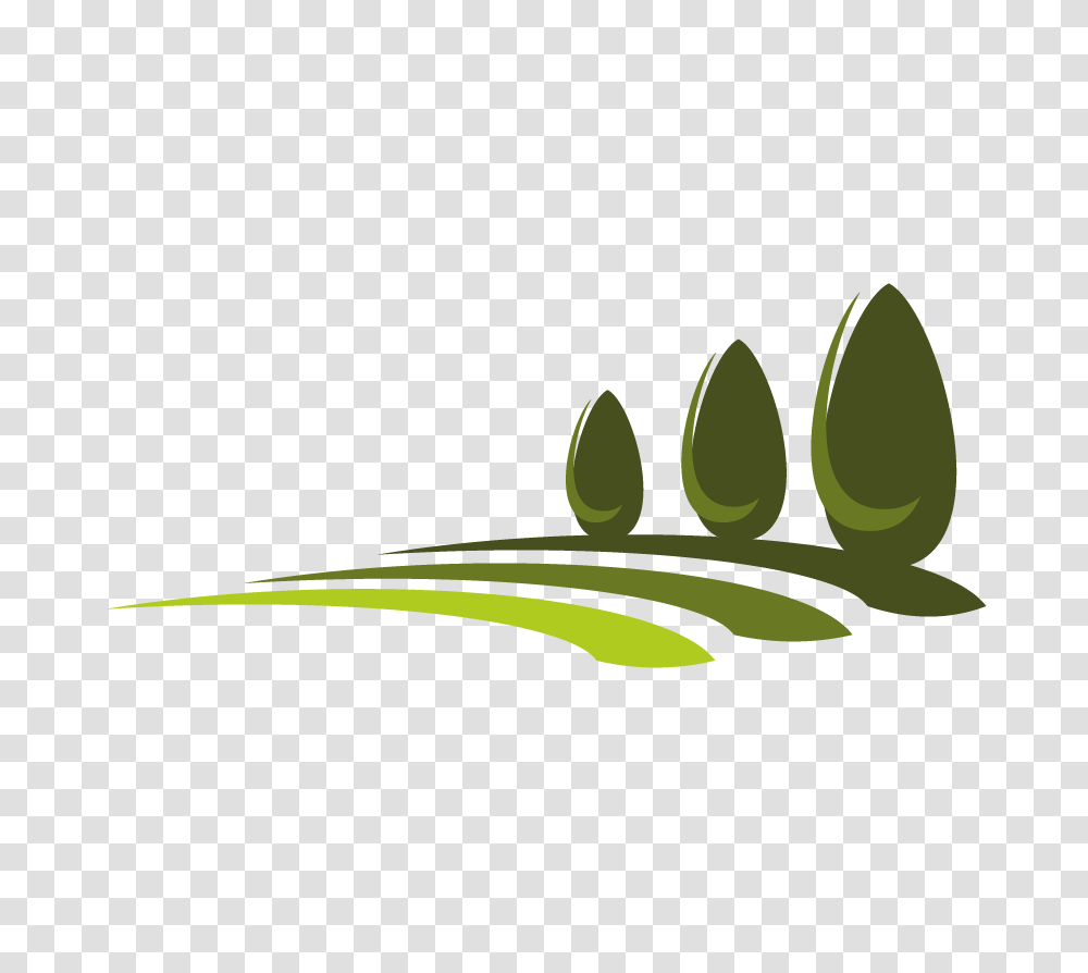 The Ultimate Guide To Lawn Care Green And Vibrant, Plant, Leaf, Vase, Jar Transparent Png