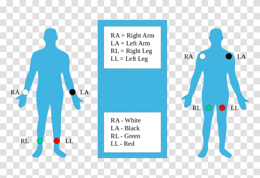 The Ultimate Lead Ecg Placement Guide, Person, People Transparent Png