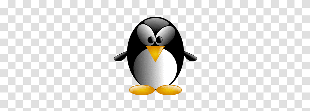 The Ultimate List Of No Watermark Free Stock Images, Penguin, Bird, Animal, King Penguin Transparent Png