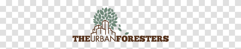 The Urban Foresters Letter, Outdoors, Plant Transparent Png