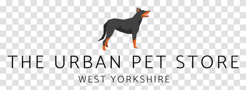 The Urban Pet Store Dobermann, Mammal, Animal, Canine, Dog Transparent Png